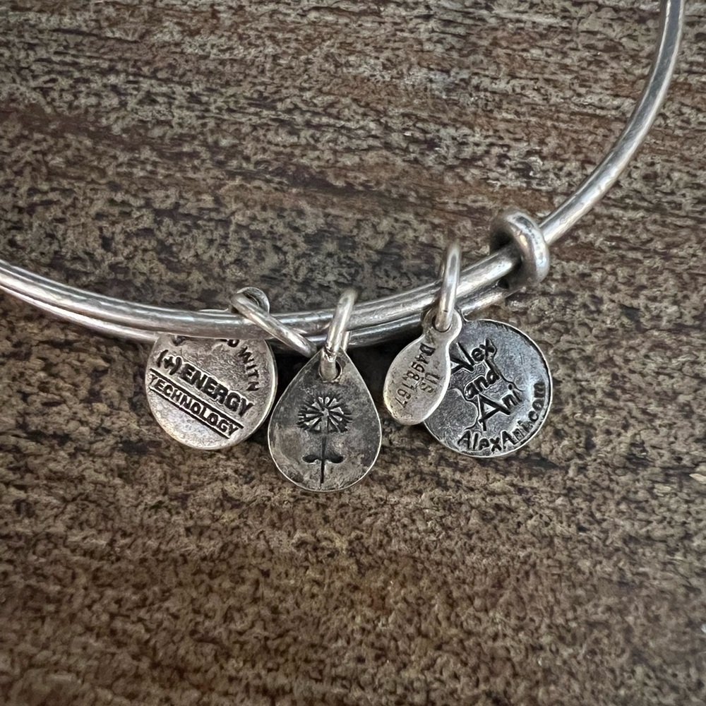 Alex and Ani Lightning Wrap Bracelet - Picture 5 of 5